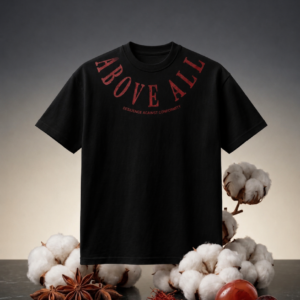 T-Shirt (Sirफिरे)3